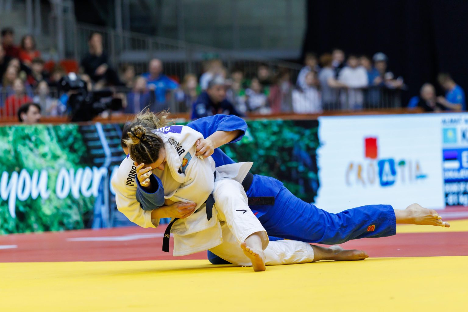 Polleres greift nach Gold